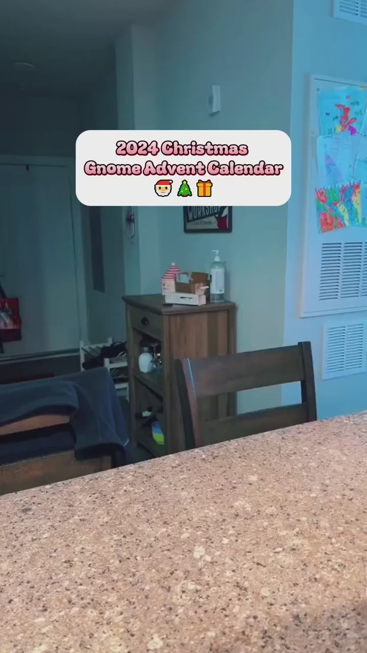 Christmas Gnome Advent Calendar